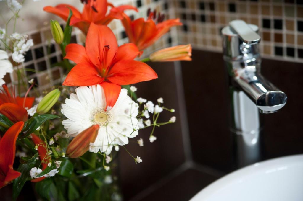 Casa Felicidad B&B Room & Kitchen Playa del Carmen Ruang foto